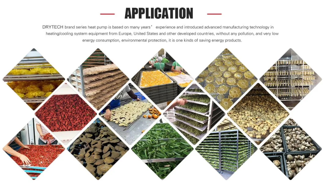 Industrial Fruit and Vegetable Dehydrator Plum Potato Potato Pasta Persimmon Plant Root Pumpkin Raisins Red Wood Mango Drying Machine Fish Pet Food Dehydrator