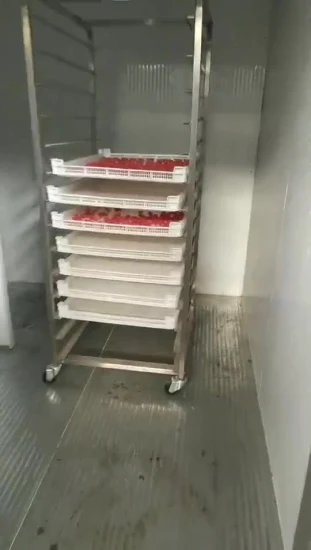 Secador de frutas eléctrico con control de temperatura múltiple, deshidratador de ciruela, deshidratador de tomate